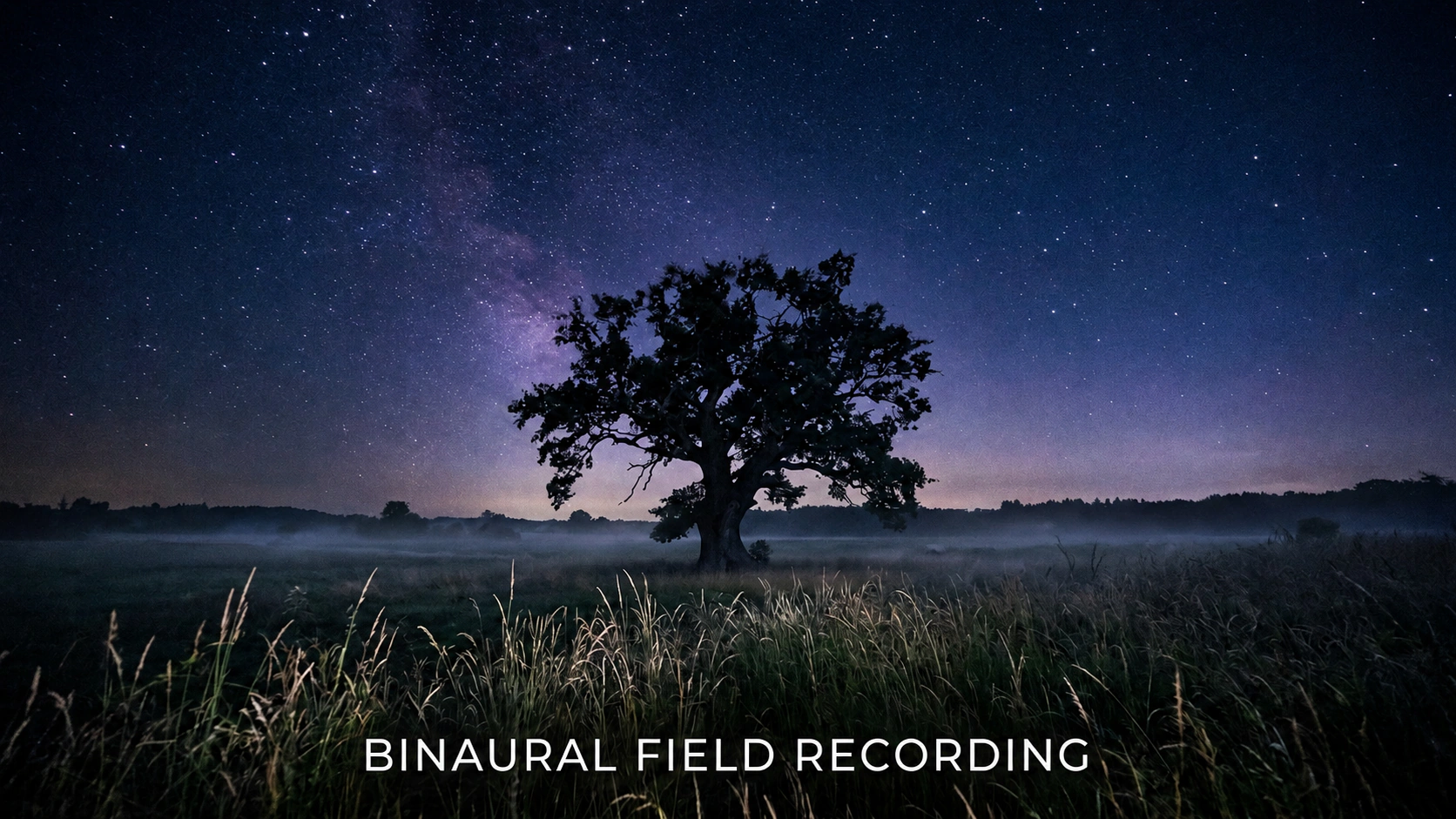 Audio spatial 3D 01 vignette